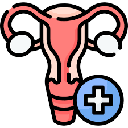 Gynaecology Icon