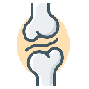 Orthopaedic Icon