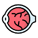 Retina Icon